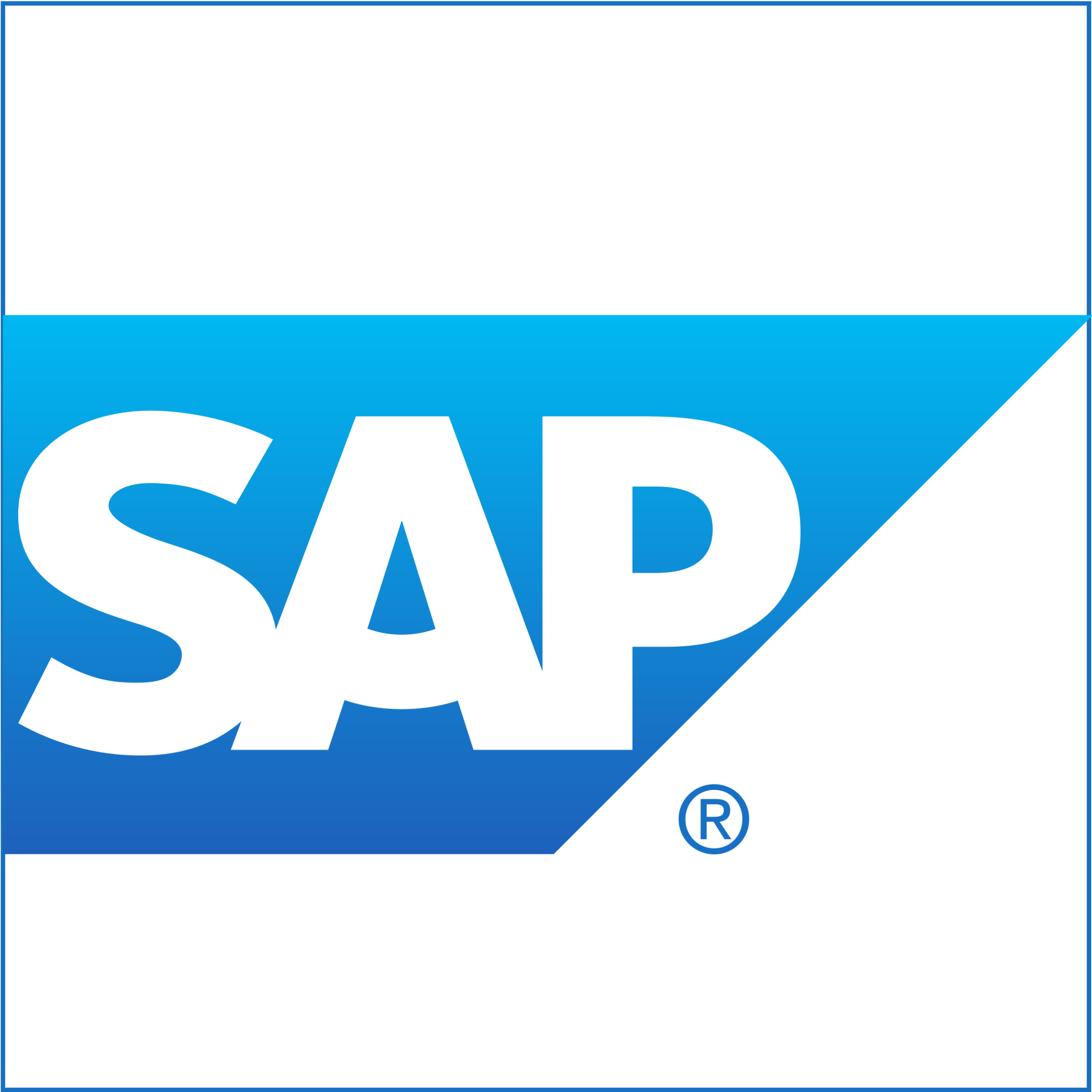 KOST Business Software | WEB11 SAP Logo3